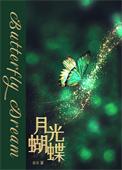 月光蝶系统设定