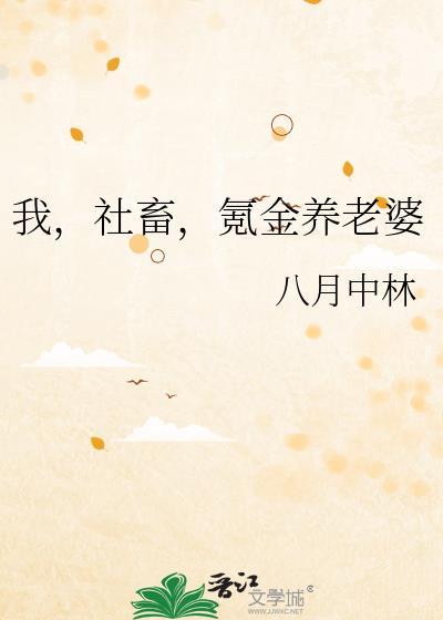 氪金养老婆作者八月中林