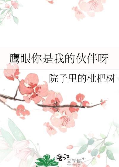 鹰眼你是我的伙伴呀海贼王