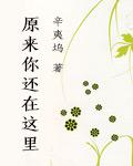 致青春 原来你还在这里剧情