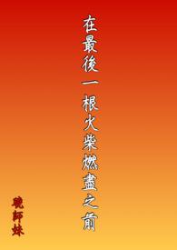 最后一颗火柴