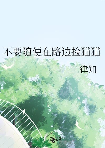 路上可以捡猫吗