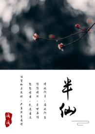 半仙主角是庾庆还是阿士衡