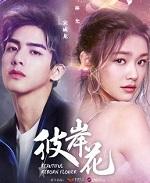 彼岸花的花语和寓意