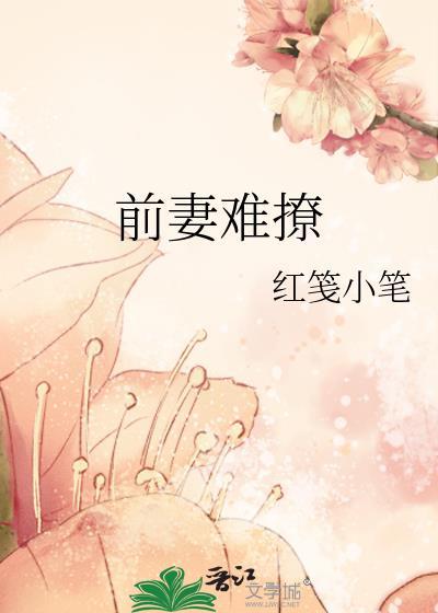 前妻难招架