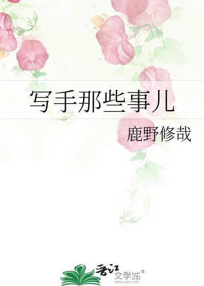 写手是啥意思