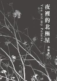 黑夜里的北极星