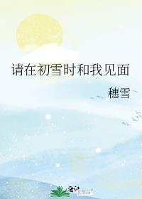 初雪的时候 甲方