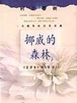 挪威的森林爱奇艺