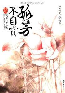 孤芳不自赏原著