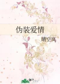 伪装感情是什么意思