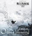 奥汀的祝福完整版