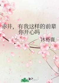 赤井出场的剧场版