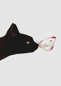 人间好时节快穿