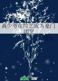 真少爷在综艺成为豪门团宠温茶
