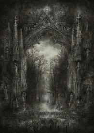 心之全愿作者华木有听