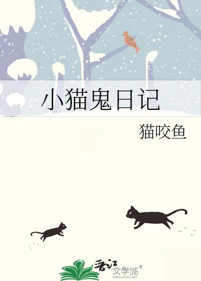 小猫咪日记