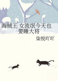 海贼王流氓时刻