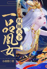 一品凰妃沈娴大结局