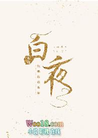 白夜重生百科