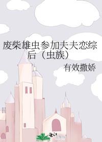 废柴雄虫参加夫夫恋综后