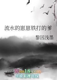 流水的崽崽铁打的爹作者黎因浅墨