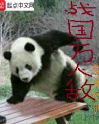 战国阵亡人数