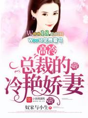 高冷总裁娇宠妻