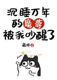 我把魔王哔哔醒了