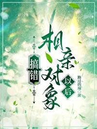 搞错相亲对象txt