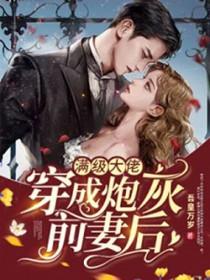 满级大佬穿成炮灰女配笔趣阁