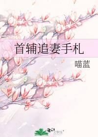 首辅追妻手札晋江