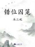 错位囚笼by木三观百度