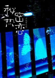 秘密恋情是什么