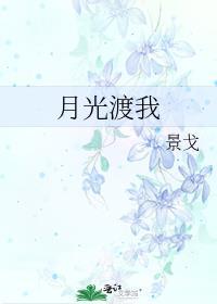 月光渡我百度