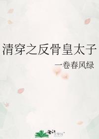 清穿之反骨皇太子全文阅读
