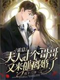 夫人回来了吗?霍总
