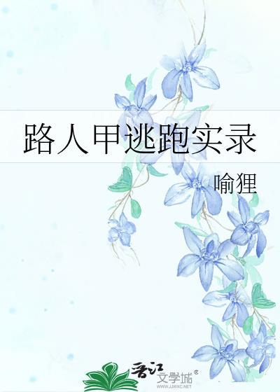 路人甲软件