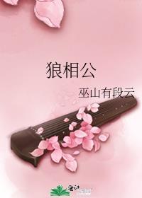 穿越小夫郎的狼相公晋江