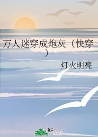 万人迷穿成炮灰快穿 灯火明亮