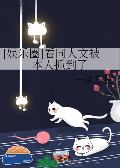 关于娱乐圈的同人文