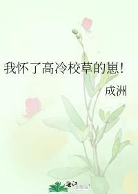 大佬的替身