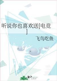 听说你也喜欢我是什么歌