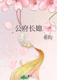 公府长媳希昀TXT