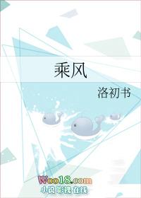 乘风2026阵容