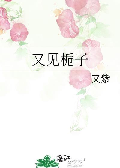 又见栀子花开沈霁寒