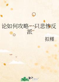论攻略指南的错误用法免费阅读