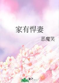 家有悍妻爹爹