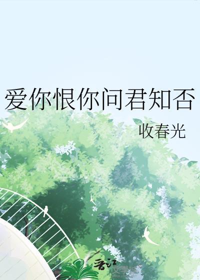 爱你恨你问君知否全集免费观看最新