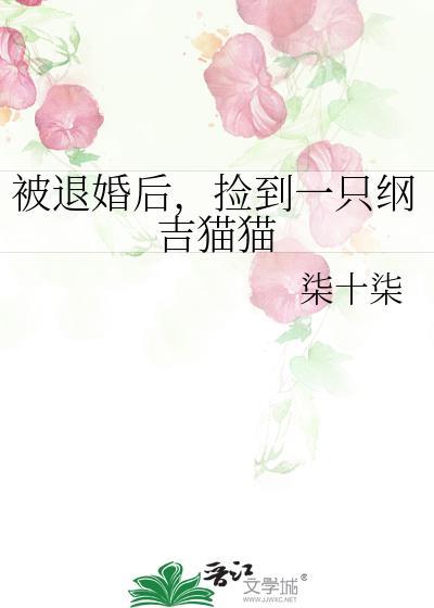 捡到一只纲吉猫猫txt